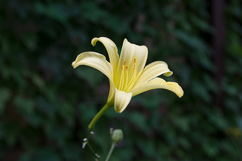 20180803yusuge02_1803.jpg