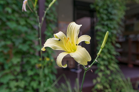 20180804yusuge01_1728.jpg