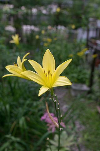 20180805yusuge02_1736.jpg