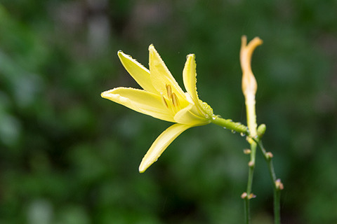 20180807yusuge01_1640.jpg