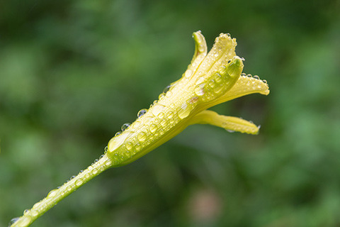 20180807yusuge02_1641.jpg