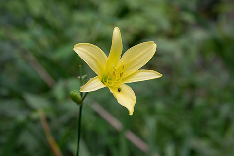 20180811yusuge01_1640.jpg