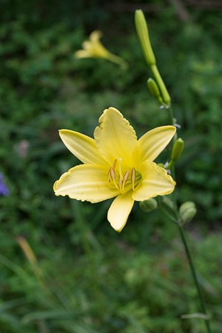 20180811yusuge02_1639.jpg