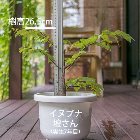 20180930inubuna_7y_dan_01.jpg