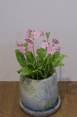 20190405ǎqTN\E02.jpg