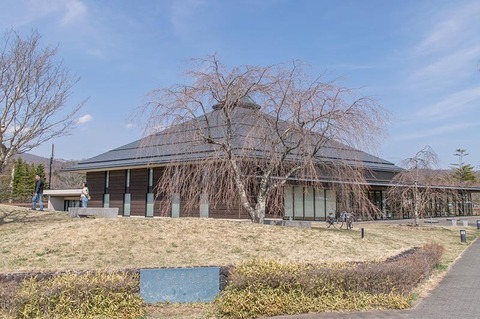 20190418yagasaki-shidare-sakuraB.jpg