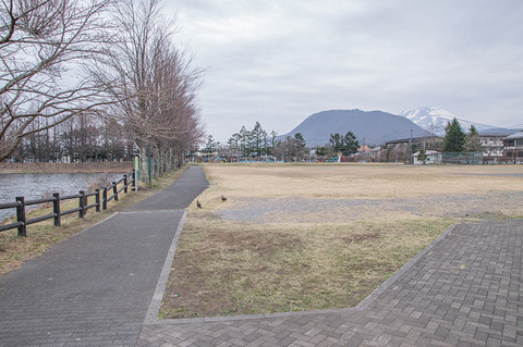 20190421yagasaki-park-hanareyama_asamayama.jpg