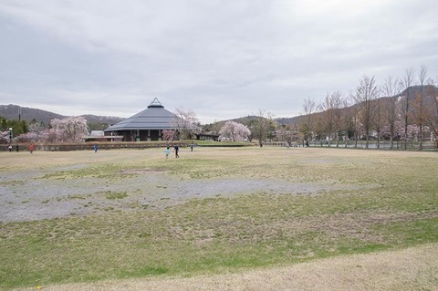 20190429yagasaki-park01.jpg