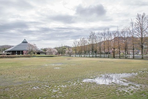 20190501yagasaki-park01.jpg