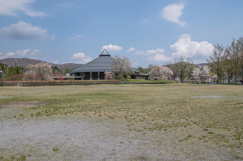 20190504yagasaki-park02.jpg