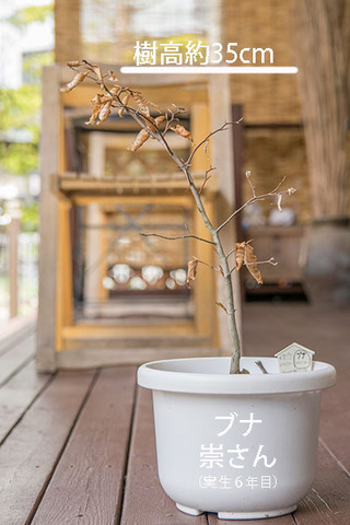 20190505buna_su_6y_01.jpg