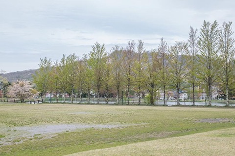 20190509yagasaki-park01.jpg