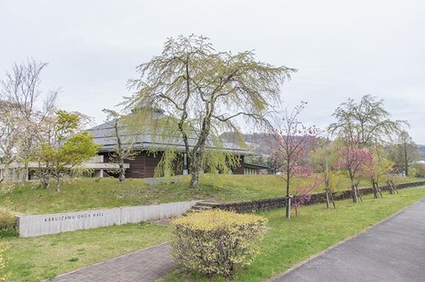 20190509yagasaki-shidare-sakuraA01.jpg