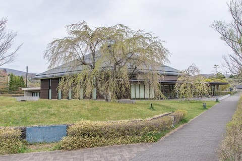 20190509yagasaki-shidare-sakuraB.jpg