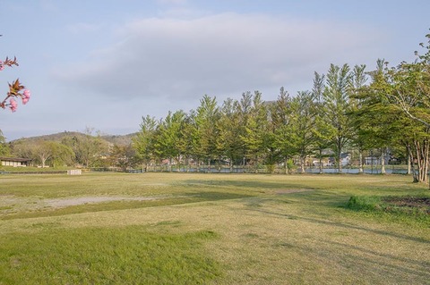 20190512yagasaki-park01.jpg
