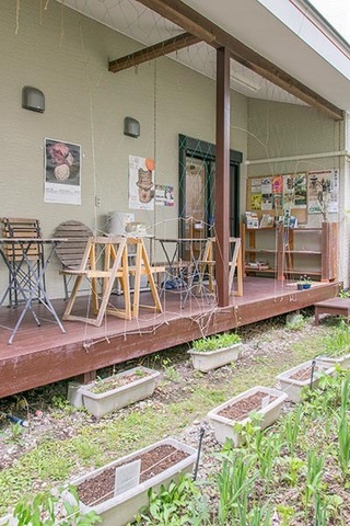 20190518midori01.jpg