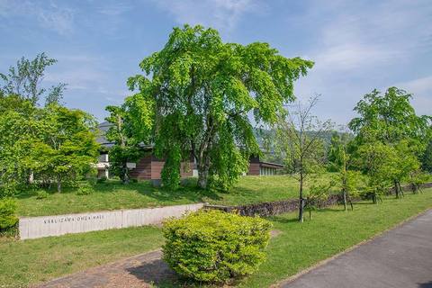 20190527yagasaki-shidare-sakuraA01.jpg
