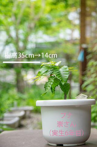 20190531buna_su_6y_02.jpg