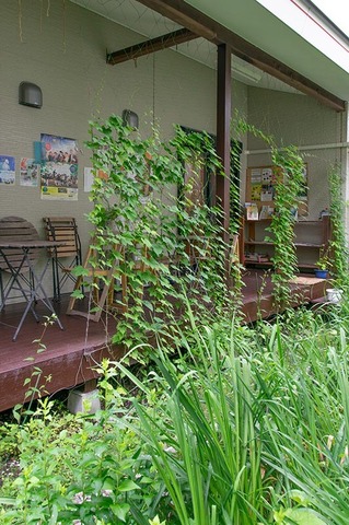 20190706midori01.jpg