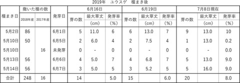 20190708yusuge_planter_1y_2018seed_20190502-14start_hatsuga.jpg