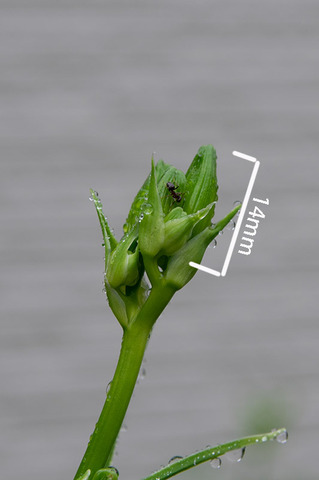 20190709yusuge02.jpg