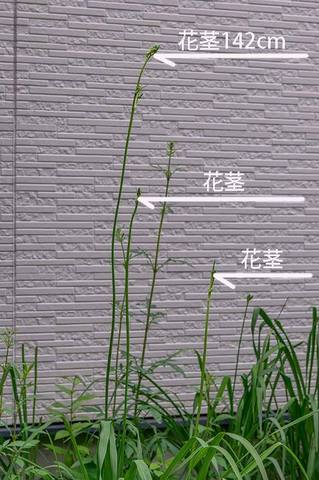 20190713yusuge04.jpg