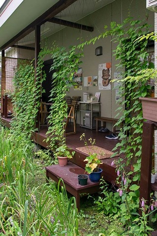 20190722midori02.jpg