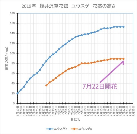 20190722yusuge_jiueA_B.jpg