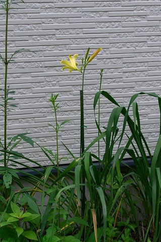 20190723yusuge_jiueB01-1724.jpg