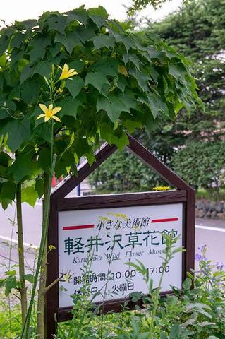20190802yusuge_corner01-1643.jpg