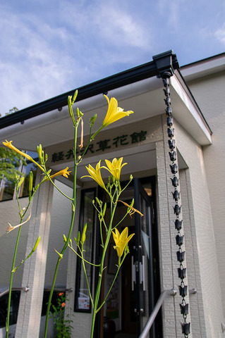 20190804yusuge-entrance01-1637.jpg