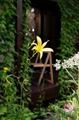 20190804yusuge-jiueB01-1635.jpg