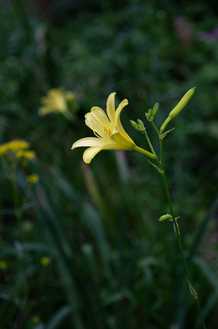 20190805yusuge-jiueA01-1706.jpg