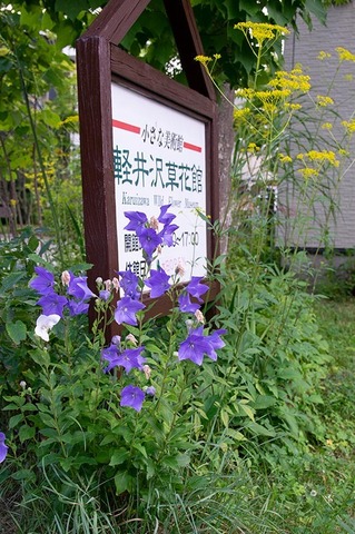 20190806kikyo.jpg