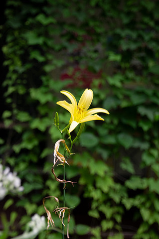 20190806yusuge-jiueA01-1541.jpg