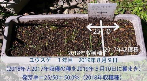 20190809yusuge-20190510tanemaki.jpg