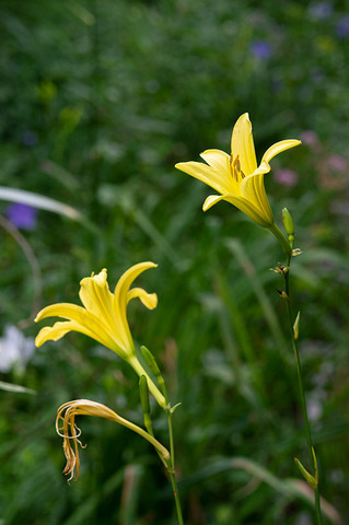 20190809yusuge-jiueA01-1706.jpg