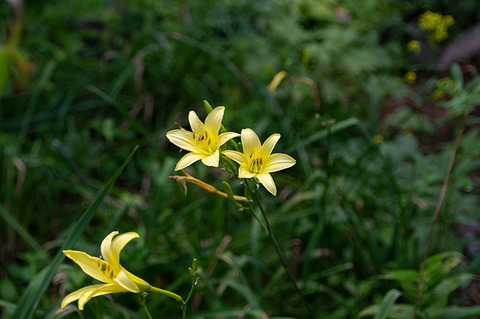 20190810yusuge-jiueA01-1639.jpg