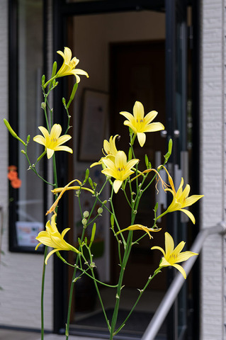 20190812yusuge-entrance01_1652.jpg
