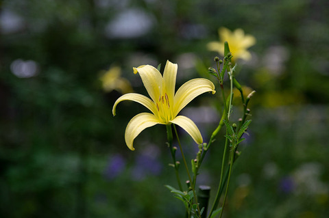 20190822yusuge-jiueA01-1612.jpg