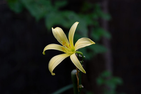 20190826yusuge-jiueA02-1748.jpg