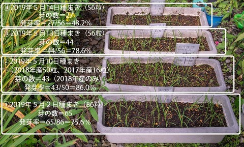 20190829yusuge_planter_1y_2018seed_20190502-14start.jpg