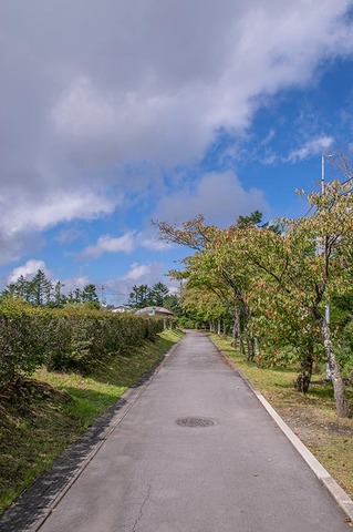 20190908yagasaki-sakura02.jpg