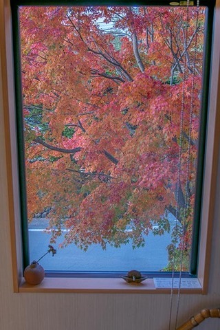 20191031momiji02.jpg