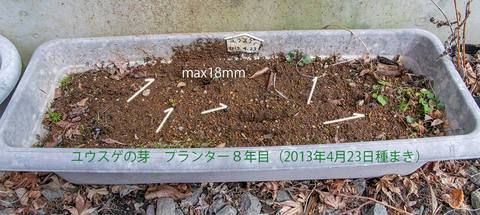 20200402yusuge_planter_8y_01.jpg