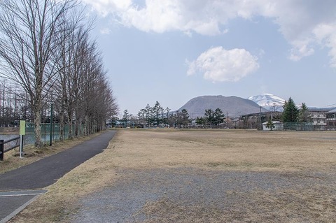20200416yagasaki-katsura02.jpg