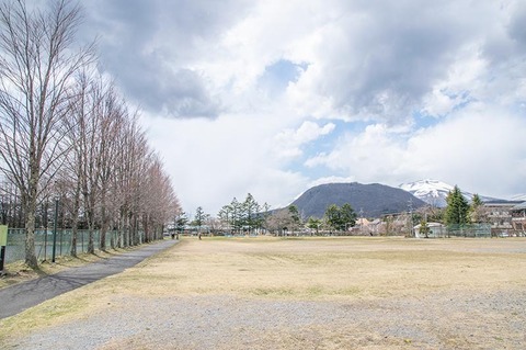 20200424yagasaki-katsura02.jpg