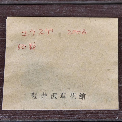 20200427yusuge_seed_2008-01.jpg