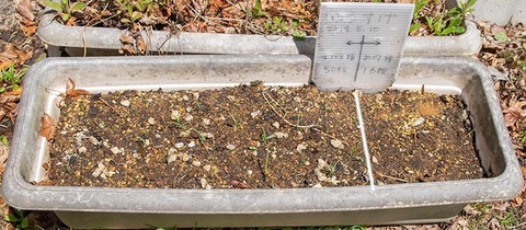 20200428yusuge_planter_2y_20190510_01.jpg