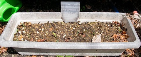 20200428yusuge_planter_2y_20190514_01.jpg